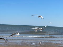 -金梦海湾浴场