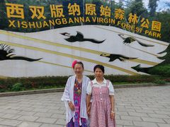 -西双版纳原始森林公园