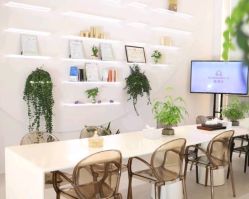 -紫琪尔·匠心连锁·胸部护理养护