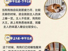 -爱侣宠医·鹦鹉专科·小型哺乳类·异宠专科(灵石路店)