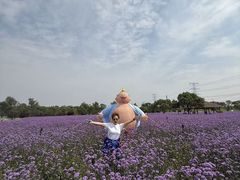 -上海杨姆庄园