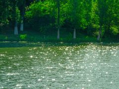 -白塘生态植物园