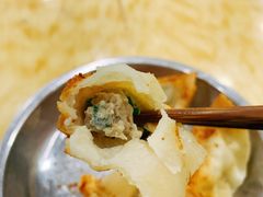 向群锅饺-向群锅饺(登高路店)