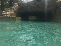 -亚特兰蒂斯水世界冒险乐园