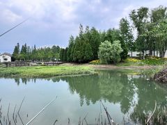 -尚贤河湿地