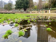 -沐仙湖湿地公园