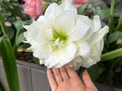 -溪山云境森林音乐餐厅(湖景店)