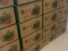 -南汇水蜜桃采摘(大团店)