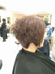 -八佰伴8008星级形象店