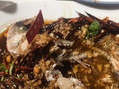 -杨氏青龙虾·羊蝎子(托乐嘉店)