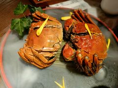 -映水芙蓉(长宁来福士店)