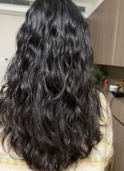 -Z.X HAIR SALON张新美业