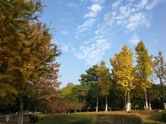 -白塘生态植物园