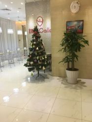 -银座Calla日式美容沙龙