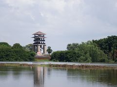 -大湾区中央湿地公园