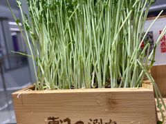-东门口·新式老北京火锅(河西龙湖天街店)