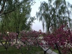 -莲花池公园