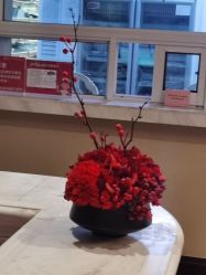 -南京医科大学友谊整形外科医院