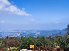 -东莞市大岭山森林公园