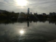 -雁滩公园