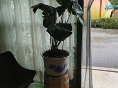 -参差咖啡(水果湖公园店)