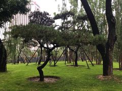 -迎泽公园