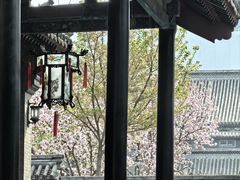 -保定直隶总督署博物馆
