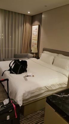 -上海新国际博览中心美仑酒店