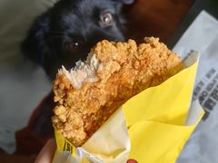 -超级鸡车(曹杨路店)