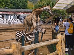 -大连森林动物园