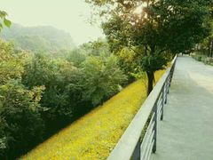 -西湖风景区-江洋畈生态公园