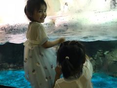 -南昌海洋公园