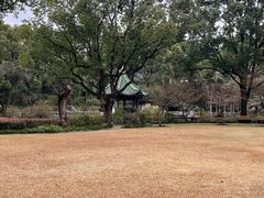 -申粤轩酒楼·三十年粤菜经典(丁香花园店)