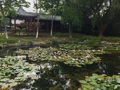 -金银湖国家城市湿地公园