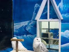 -成都浩海立方海洋公园