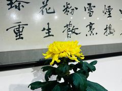 -汇龙潭