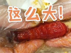 -江城燕子大排档(江汉路步行街店)