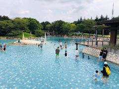 -上海月湖雕塑公园
