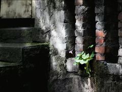 -终南山国家森林公园