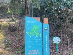 -上海佘山国家森林公园天马山园