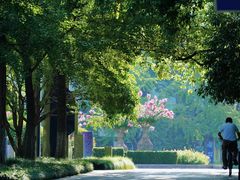 -杭州城北体育公园