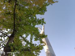 -丁香湖公园