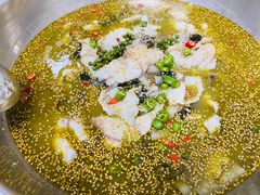 藤椒鱼-川渔居—鱼火锅(八方汇店)