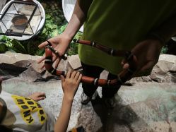 -酷嗒动物文化乐园(cutezoo西溪乐天城店)