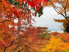 -常寂光寺