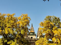 -北京石刻艺术博物馆(五塔寺)