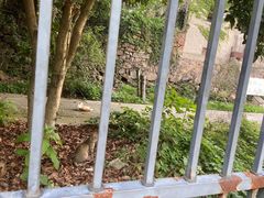 -惠山国家森林公园