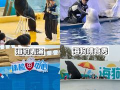 -秦皇岛乐岛海洋王国