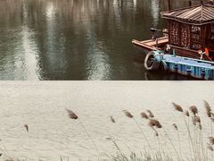 -洋湖国家湿地公园