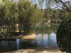 -紫竹院公园冰场